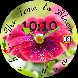 Flower Power by TiBorg