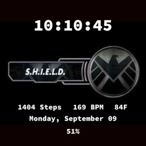 S.H.I.E.L.D. by Marv