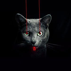 Laser Cat by Little Gavin