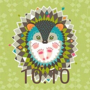 Hedgehog by Brooklets