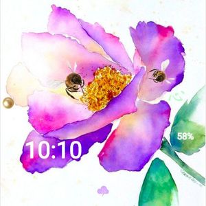 Honey Bee - Animated by pacingpoet