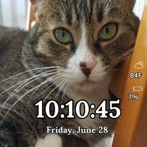 AC Kittie 01 by MJS Designs