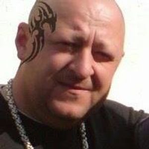 Szekeres Mihály profile picture