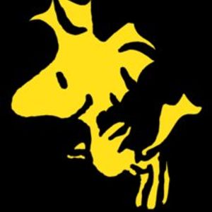 ryn808 profile picture