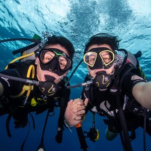 mexicandreampackers profile picture