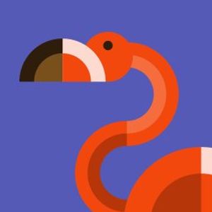 Ciro profile picture