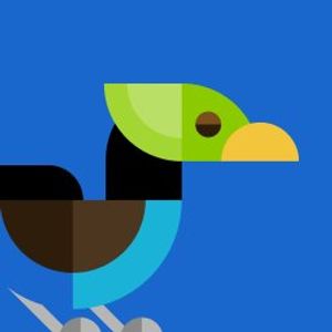 Toploftical profile picture