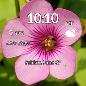 Pink Flower 1 by MJS Designs