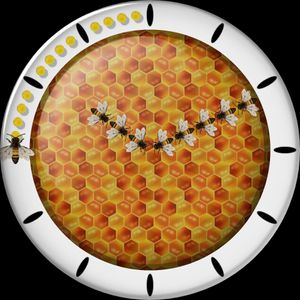 Bees Team Spirit by orz0