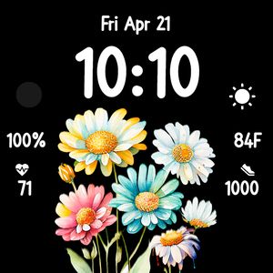 Colorful Daisy Bundle by Ginger