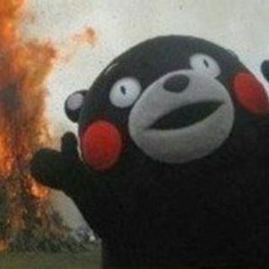 Theballoonicorn profile picture