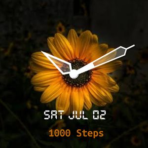 Sunflower by The Happy Prince