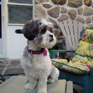 Bribert profile picture
