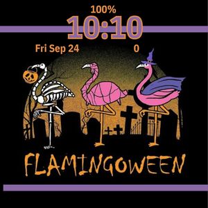 Flamingoween by Christina Crane