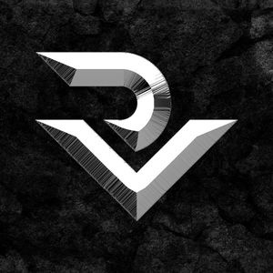 Real Vision profile picture