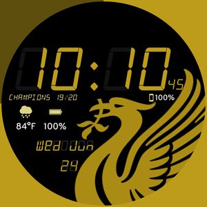 LFC Gold by Suresh LA