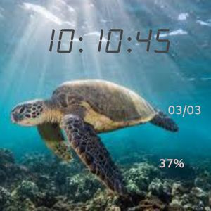 Sea Turtle II by Marv