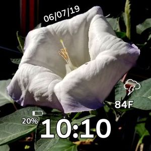Moon Flower Bloom 1 by MJS Designs