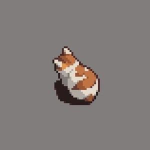 husky testes profile picture