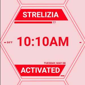 Strelizia Activated by Kolma