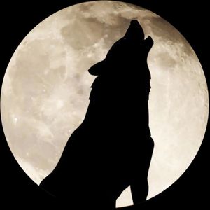 colin waite profile picture