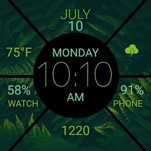 GREEN FERN by plaidv