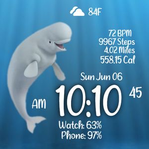 Beluga Whale by AmberDai