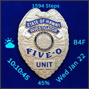 Tribute to Hawaii Five - O by Watches by Kaci