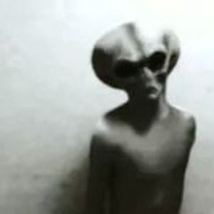 Admin profile picture