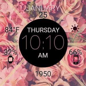 Rose Garden by plaidv