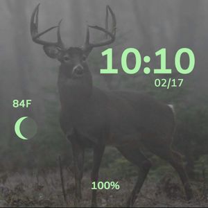 Foggy Bottom by Atvrider