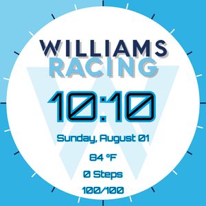 Williams F1 Racing 2021 by Barry