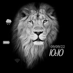 Lion Design by millameta