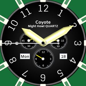 Coyote Night Howl by David Webster