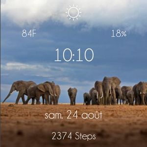 éléphants by Zosala