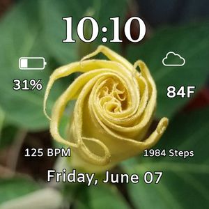 Moon Flower Spiral 2 by MJS Designs