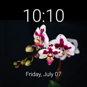 Pink Orchid by Brit