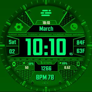 BCW Data Digest Emerald by Capo