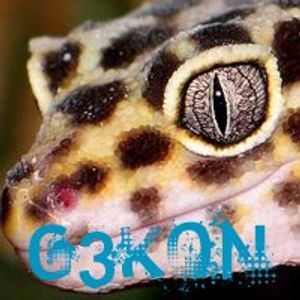 gekon30 profile picture