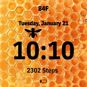 Honeybee by Wila