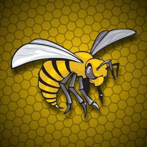 Matthew Rivas profile picture