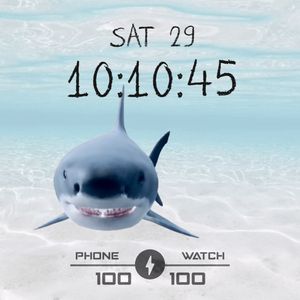 ZK_SHARK by ZHNKRDG