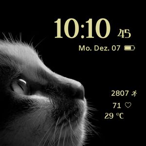 Cat by Drews Faces