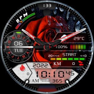 Rose_o'clock by Jero