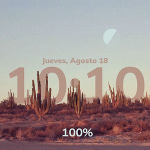 cactus view by dariel