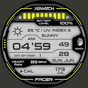XBWatch DG20 X2 by XBWatch