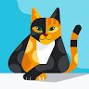 Williams profile picture