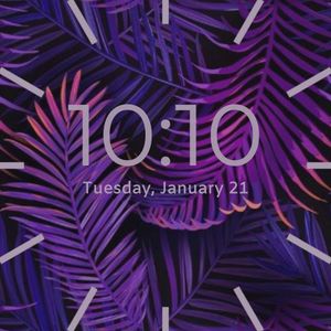 Tropical Vibes by Sandra