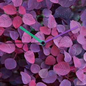 Leaves by Only time will tell