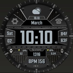 BCW Data Digest Alloy by Capo